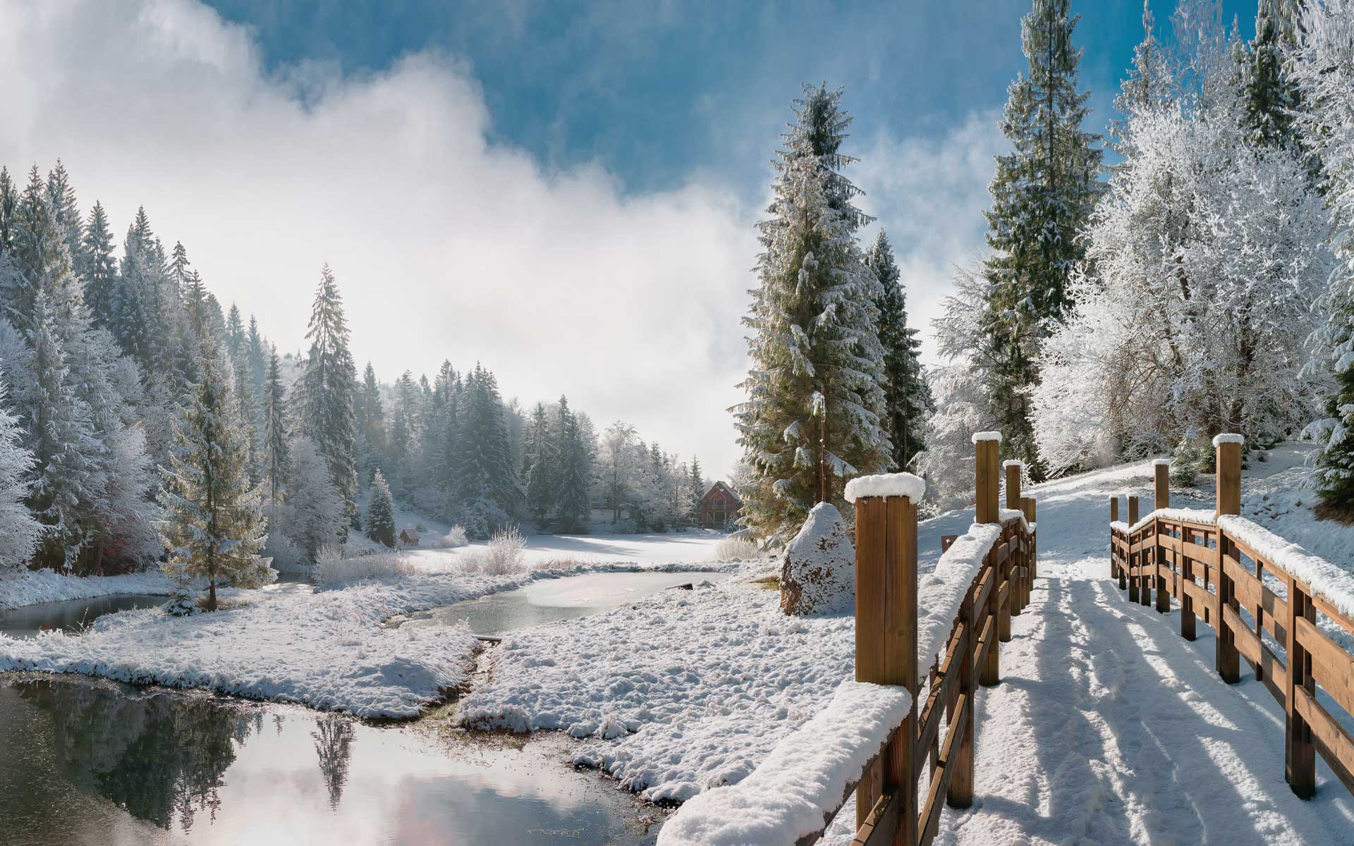 Тур в Закарпатье